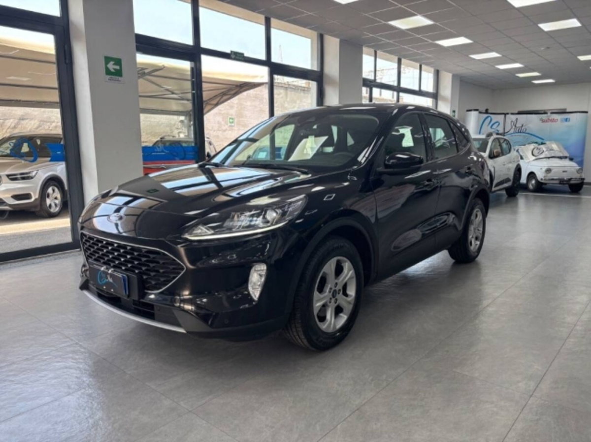 Ford Kuga 2.0 EcoBlue Hybrid 150 CV 2WD (3)