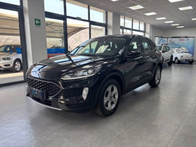 Ford Kuga 2.0 EcoBlue Hybrid 150 CV 2WD (3)