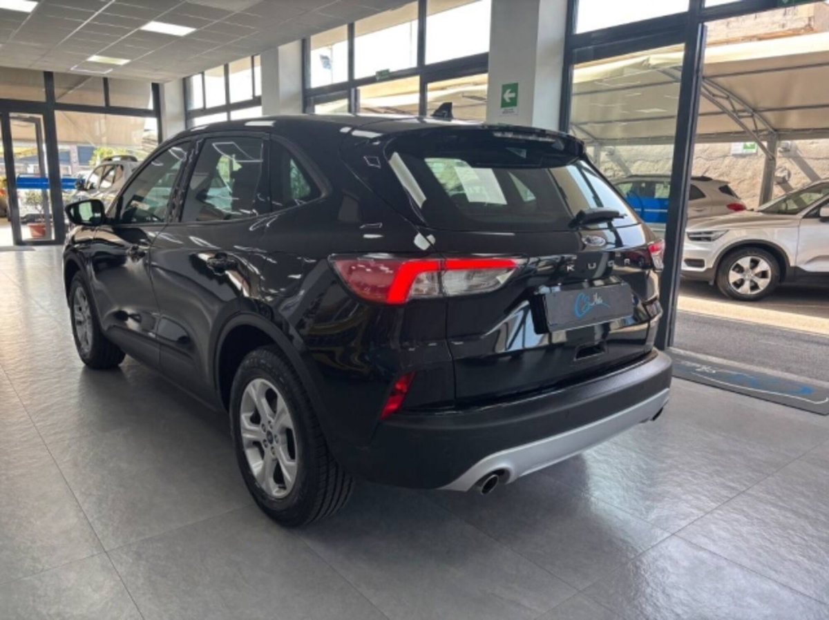 Ford Kuga 2.0 EcoBlue Hybrid 150 CV 2WD (4)