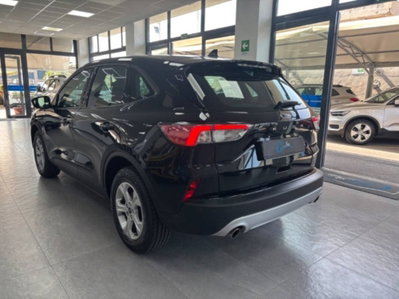 Ford Kuga 2.0 EcoBlue Hybrid 150 CV 2WD (4)