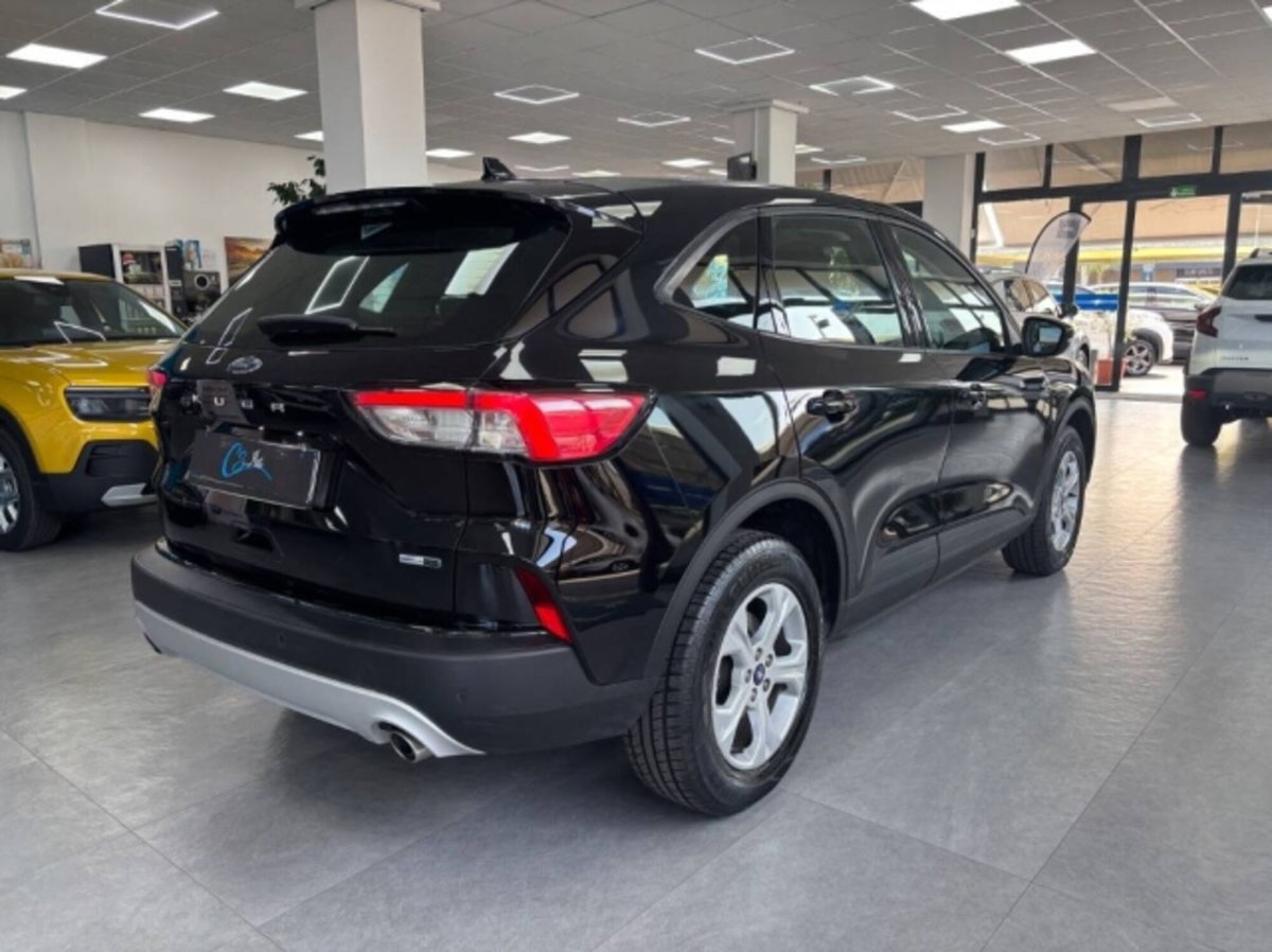 Ford Kuga 2.0 EcoBlue Hybrid 150 CV 2WD (6)
