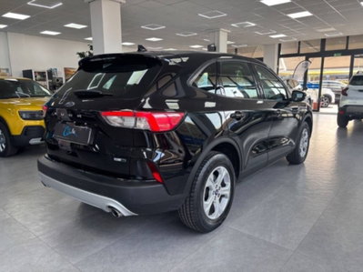 Ford Kuga 2.0 EcoBlue Hybrid 150 CV 2WD (6)