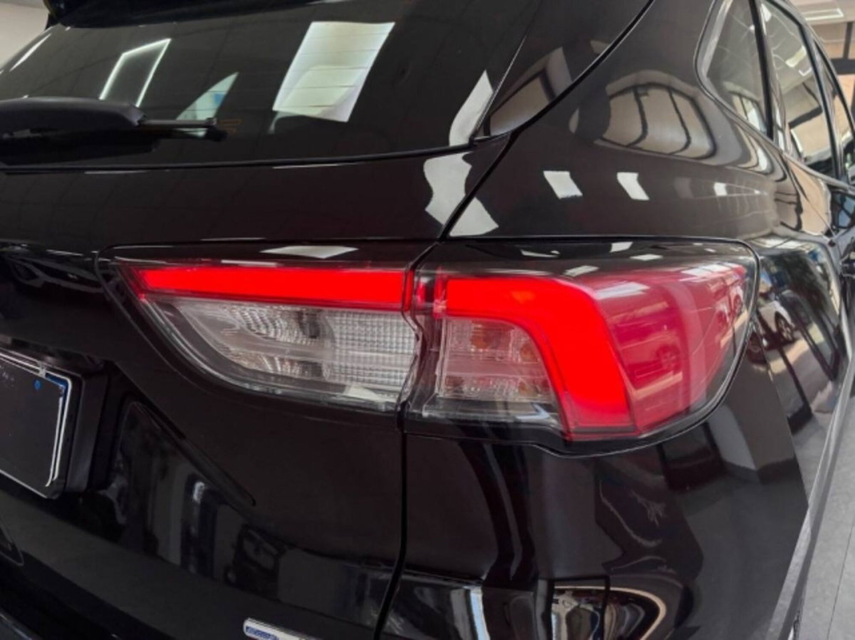 Ford Kuga 2.0 EcoBlue Hybrid 150 CV 2WD (7)