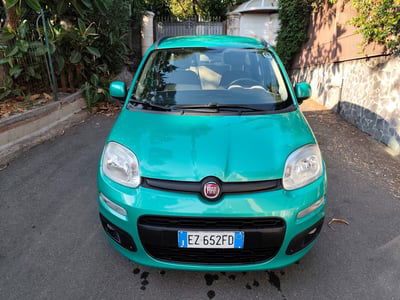 Fiat Panda 1.2 Easy usata