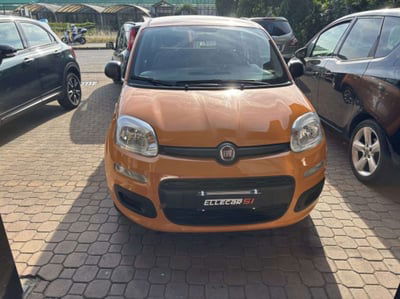 Fiat Panda 1.2 Dynamic usata
