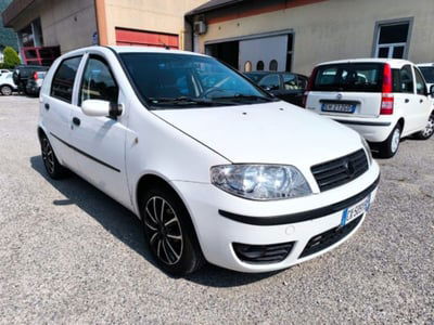 Fiat Punto 1.3 Multijet 16V 3 porte bConnect usata