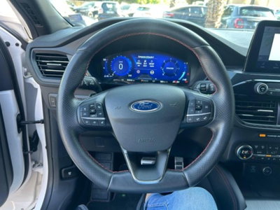 Ford Kuga 2.0 EcoBlue 190 CV aut. AWD ST-Line X (10)