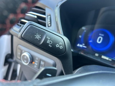 Ford Kuga 2.0 EcoBlue 190 CV aut. AWD ST-Line X (15)