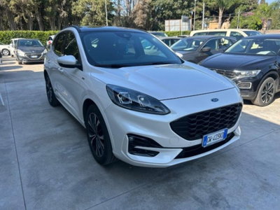 Ford Kuga 2.0 EcoBlue 190 CV aut. AWD ST-Line X (3)