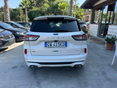 Ford Kuga 2.0 EcoBlue 190 CV aut. AWD ST-Line X (5)