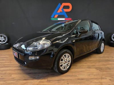 Fiat Punto 1.4 8V 5 porte Natural Power Lounge usata
