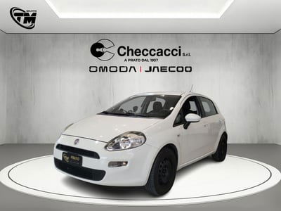 Fiat Punto 1.2 8V 5 porte Lounge usata
