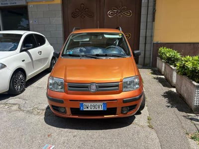 Fiat Panda 1.2 Dynamic usata