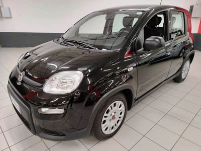 Fiat Panda Cross Cross 1.0 FireFly S&S Hybrid usata