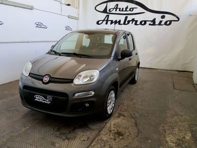 Fiat Panda 1.2 Dynamic Euro 5 usata