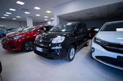 Fiat Panda 1.2 Lounge usata