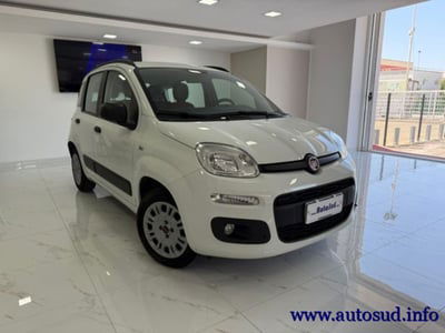 Fiat Panda 1.2 EasyPower Easy usata