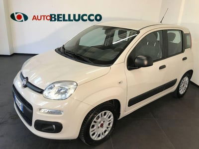 Fiat Panda 1.2 EasyPower Easy usata