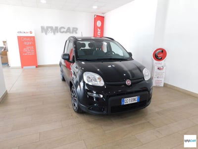 Fiat Panda 1.0 FireFly S&S Hybrid City Cross usata