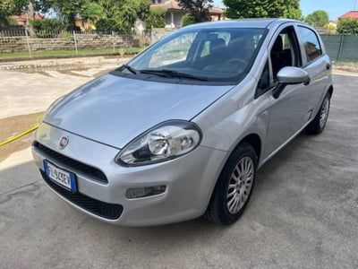 Fiat Punto 1.2 8V 5 porte Street usata