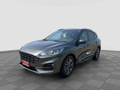 Ford Kuga 1.5 EcoBlue 120 CV 2WD ST-Line usata