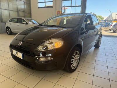 Fiat Punto 1.2 8V 5 porte Street usata