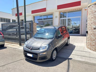 Fiat Panda 1.2 Easy usata