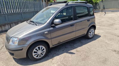 Fiat Panda 1.2 Easy usata