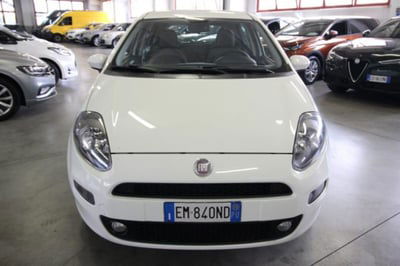 Fiat Punto 1.4 8V 5 porte Easypower Lounge usata