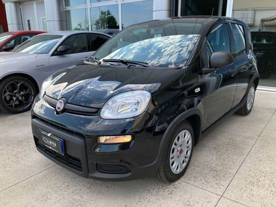 Fiat Panda Cross Cross 1.0 FireFly S&S Hybrid usata