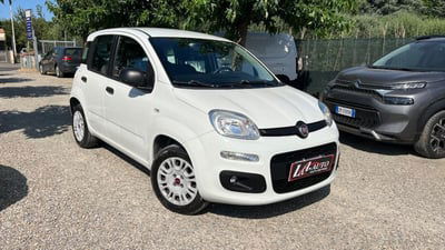 Fiat Panda 1.2 Easy usata