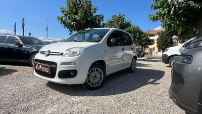 Fiat Panda 1.2 Easy usata