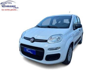 Fiat Panda 1.2 EasyPower Easy usata