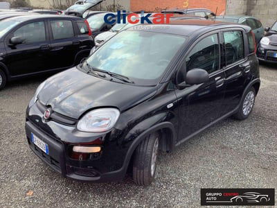 Fiat Panda 1.0 FireFly S&S Hybrid usata