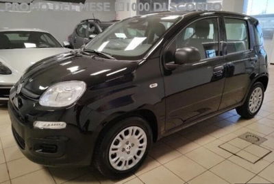 Fiat Panda 1.0 firefly hybrid s&s 70cv 5p.ti nuova