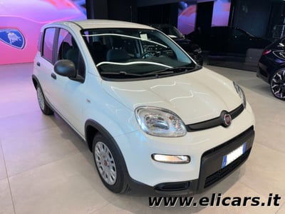 Fiat Panda 1.0 firefly hybrid s&s 70cv 5p.ti nuova