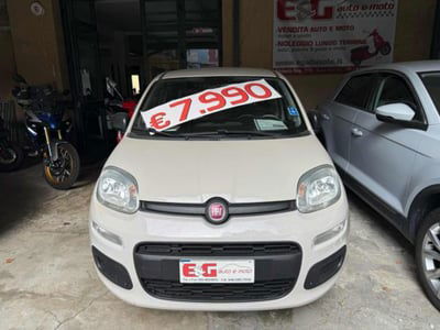 Fiat Panda 1.2 Easy Van 4 posti usata