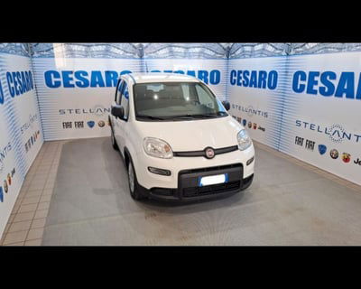 Fiat Panda 1.0 FireFly S&S Hybrid usata