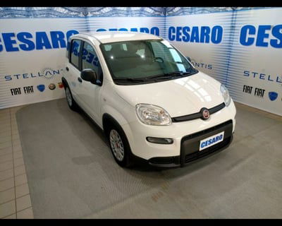 Fiat Panda 1.0 FireFly S&S Hybrid usata