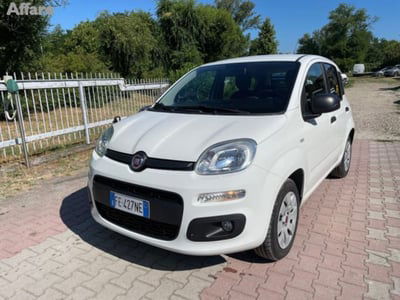 Fiat Panda 1.2 Easy usata