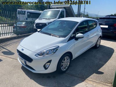 Ford Fiesta 1.5 EcoBlue 5 porte Business High usata