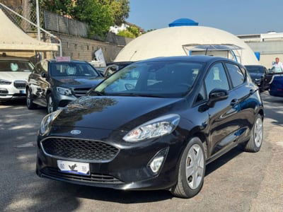 Ford Fiesta 1.1 75 CV GPL 5 porte usata