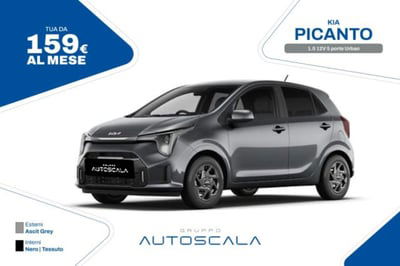 Kia Picanto 1.0 dpi Launch Edition nuova