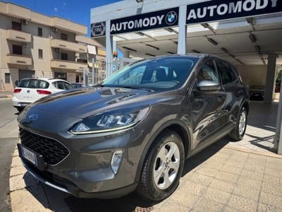Ford Kuga 1.5 EcoBlue 120 CV 2WD ST-Line usata