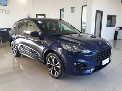 Ford Kuga 2.0 EcoBlue 190 CV aut. AWD ST-Line X usata