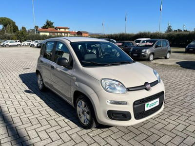 Fiat Panda 1.2 EasyPower Easy usata