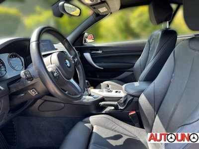 BMW Serie 2 Cabrio 218i  Msport (10)