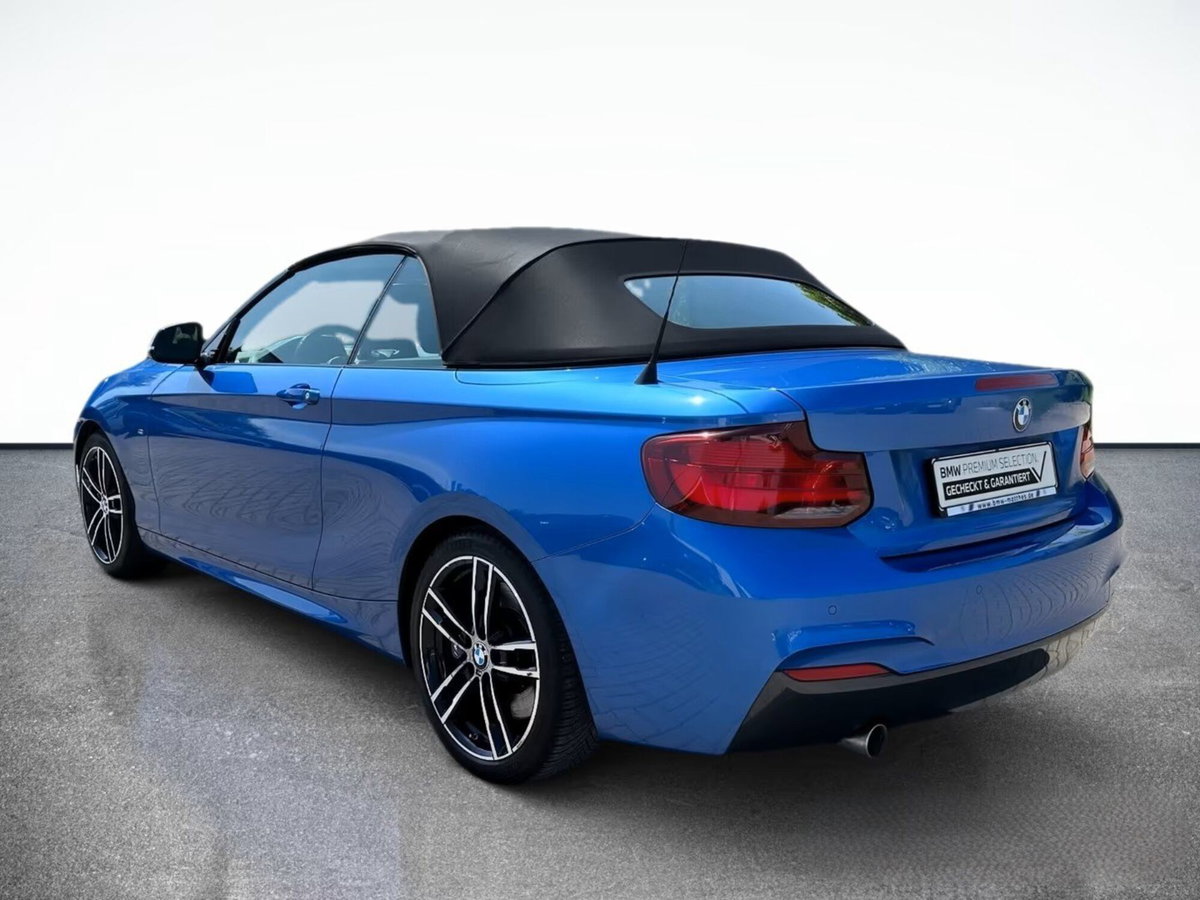 BMW Serie 2 Cabrio 218i  Msport (8)