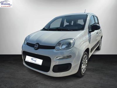 Fiat Panda 1.2 EasyPower Easy usata