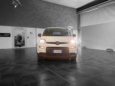 Fiat Panda Cross Cross 1.0 FireFly S&S Hybrid usata